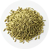 Fennel